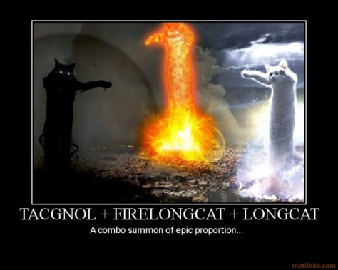 tacgnol-firelongcat-longcat-firelongcat-longcat-power-summon-demotivational-poster-1229076399